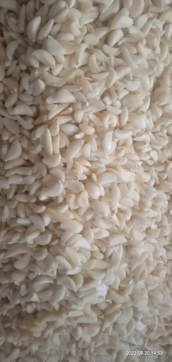 Peeled garlic uploaded by Mahek agri industries on 9/23/2022