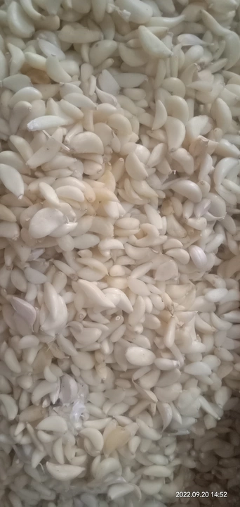 Peeled garlic  uploaded by Mahek agri industries on 9/23/2022