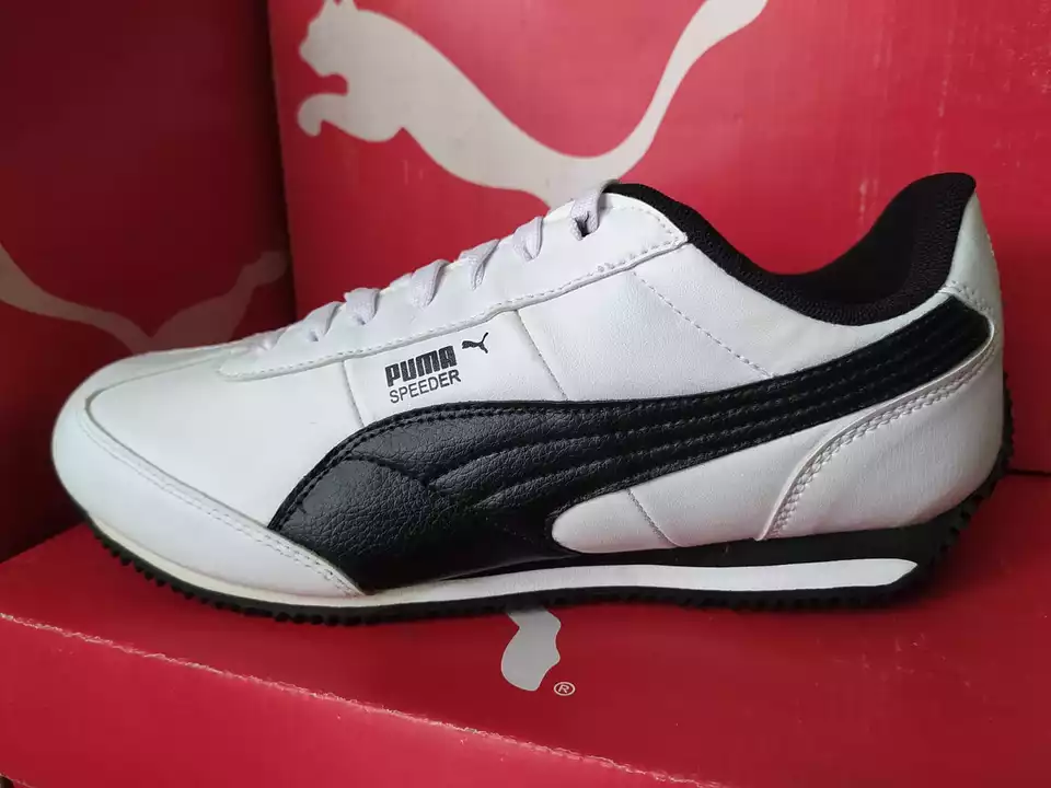 Puma speeder uploaded by Kanpur leather on 9/26/2022