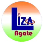 Business logo of LIZA AGATE EXPORT