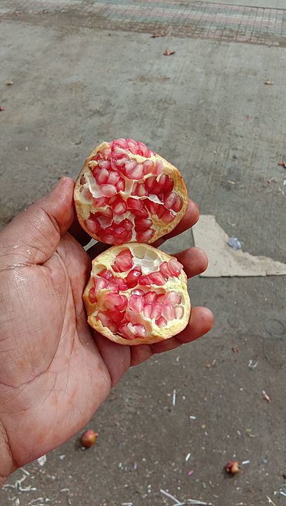 I am from Maharashtra I work in pomegranate market I can supply pomegranate uploaded by business on 6/27/2020