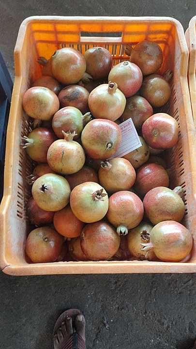 I am from Maharashtra I work in pomegranate market I can supply pomegranate uploaded by S S FRUIT SUPPLY on 6/27/2020