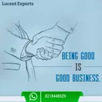 Business logo of Lucents exports