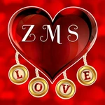 Business logo of Z M S Jishan Tailor