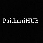 Business logo of PaithaniHUB 