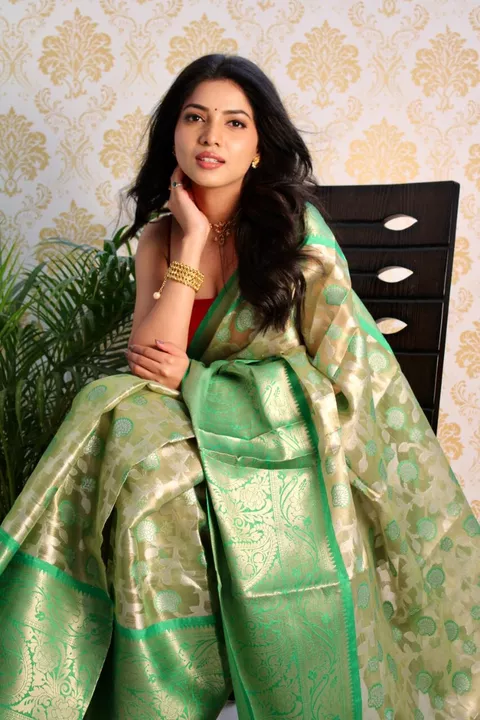 Orgenza saree uploaded by Shiva the online shop ....Dr.. ... on 10/1/2022