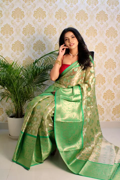 Orgenza saree uploaded by business on 10/1/2022