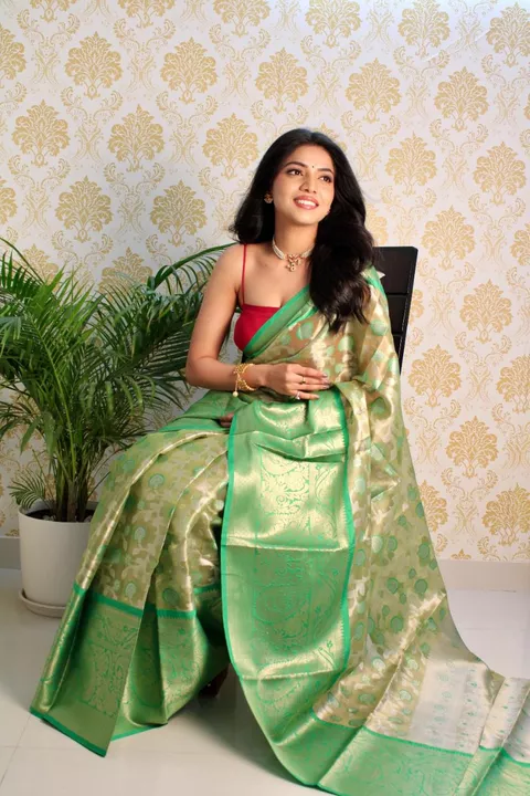Orgenza saree uploaded by Shiva the online shop ....Dr.. ... on 10/1/2022
