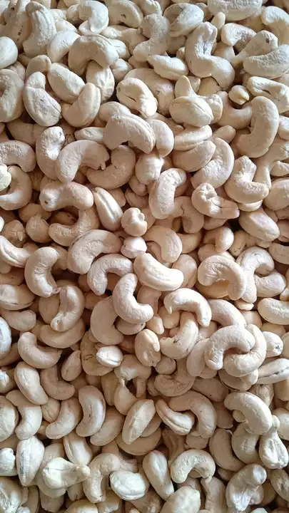 W320 cashew uploaded by Sri Sai Export on 10/2/2022