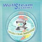 Business logo of Well steam systems
