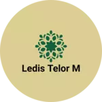 Business logo of Ledis telor m