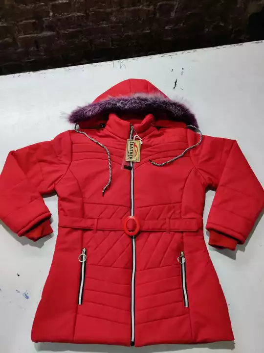 Product image of Ladeesh jacket, price: Rs. 400, ID: ladeesh-jacket-81cae9d7