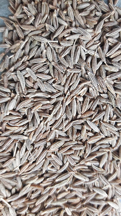 Cumin seed  uploaded by business on 1/5/2021