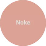 Business logo of Noke