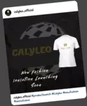 Business logo of CALYLEO FESHION 