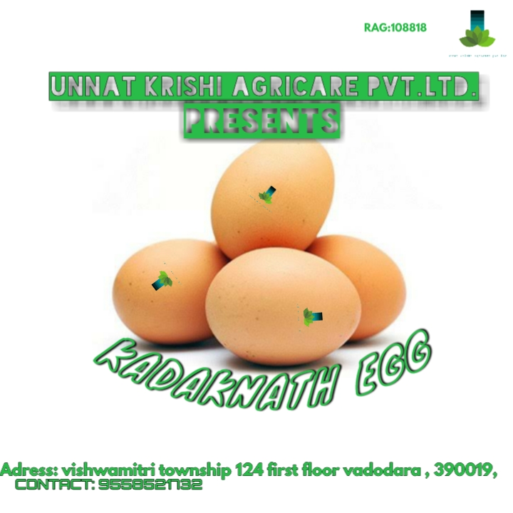 kadaknath egg uploaded by UNNAT KRISHI AGRICARE  on 10/9/2022