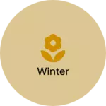 Business logo of Winter