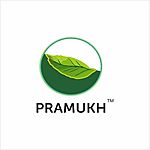 Business logo of PRAMUKH MARKETING