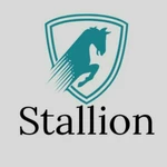 Business logo of Stallion4tex