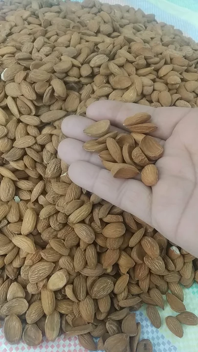 Product uploaded by Rehmani dryfruits  on 10/9/2022