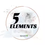 Business logo of 5 ELEMENTS
