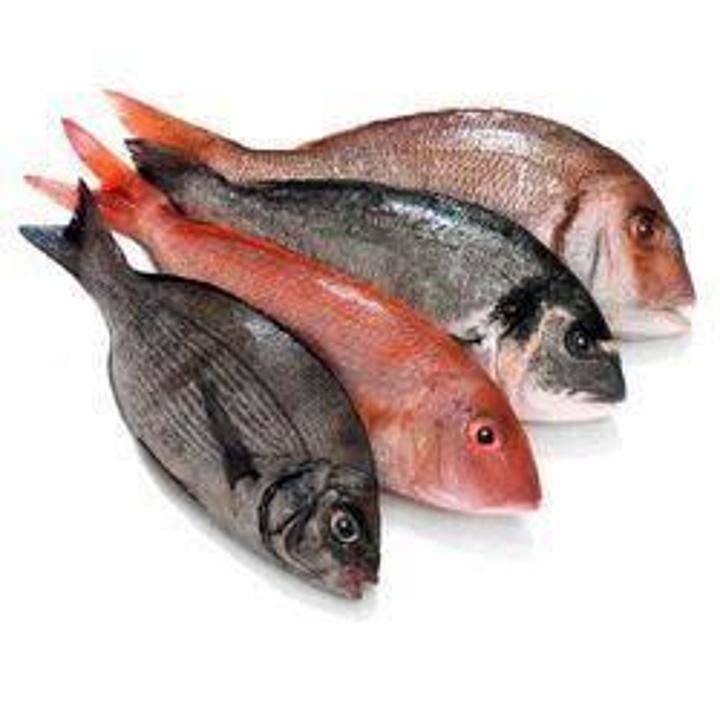 Fish (surmai) uploaded by business on 6/29/2020