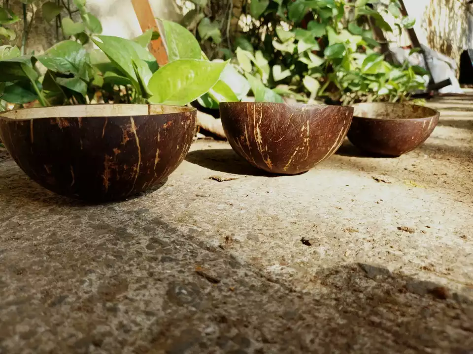 Coconut shell bowls  uploaded by Prakriti Nature ka touch on 10/17/2022