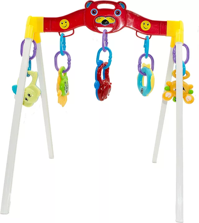 Baby Play Gym  uploaded by TRUE TOYS on 10/19/2022