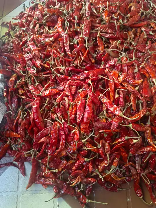 Whole chilli  uploaded by Assam Tea Co on 10/22/2022