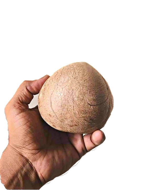Natural dry coconut / sukha gola .wholesale and for retailer also uploaded by Valuable deals on 10/23/2022