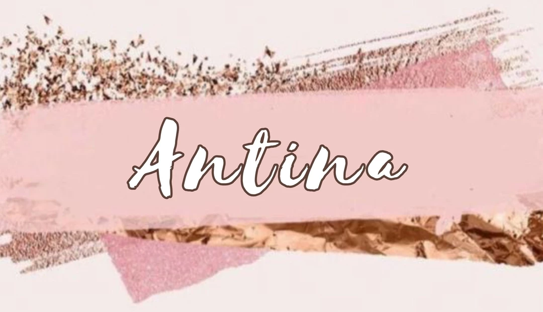 Factory Store Images of Antina's Closet