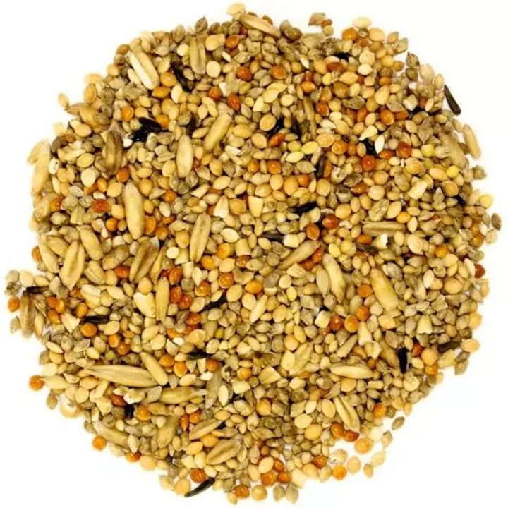 PetNest Bird feed mix seed for all birds  uploaded by business on 10/25/2022