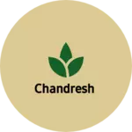 Business logo of Chandresh