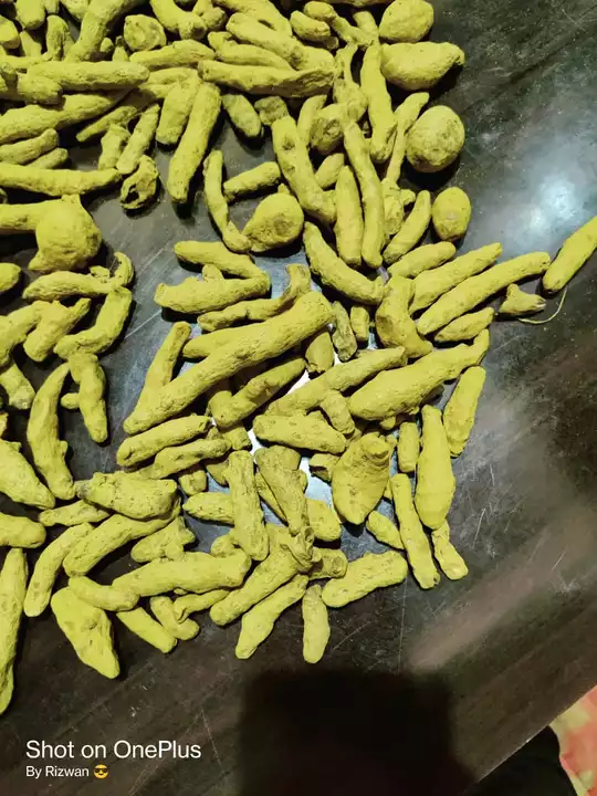 Turmeric powder uploaded by ESS BEE Agro tech on 10/26/2022