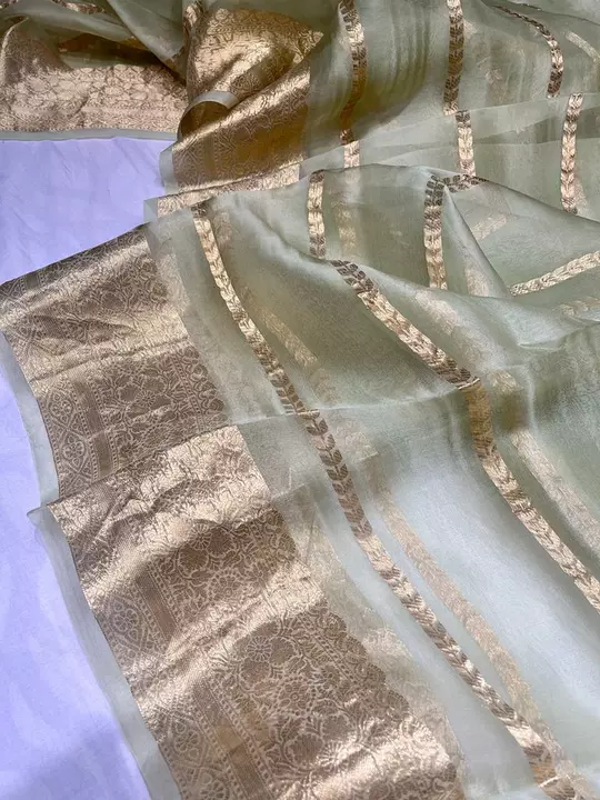 Organza silk sarees (pista) uploaded by business on 10/30/2022