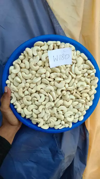 White Wholes Cashew Nuts uploaded by D J Agro Foods India on 11/2/2022