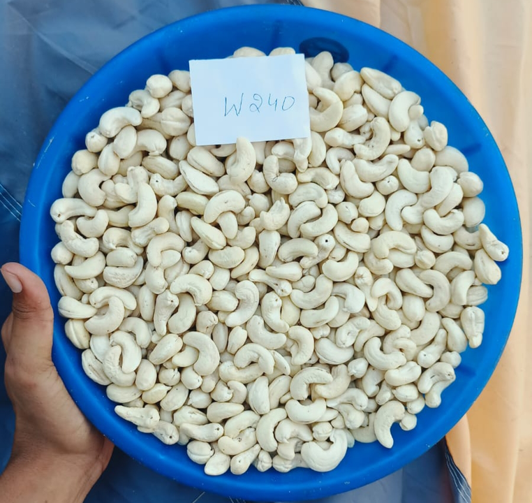 White Wholes Cashew Nuts uploaded by D J Agro Foods India on 11/2/2022