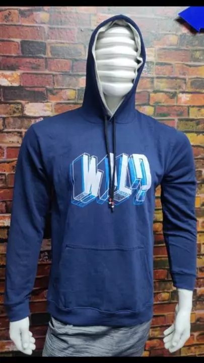 Mens Hoodies  uploaded by business on 11/2/2022