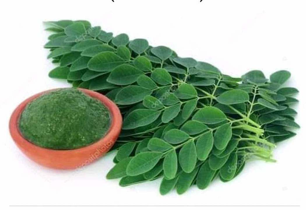 Moringa leaf powder uploaded by business on 1/16/2021