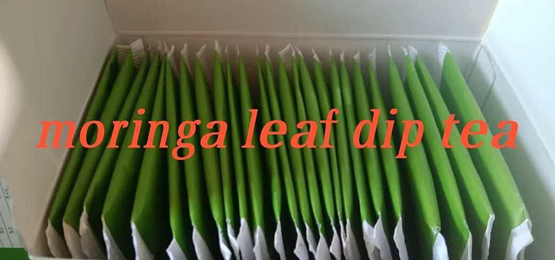 Moringa leaf dip tea pouch uploaded by business on 1/16/2021