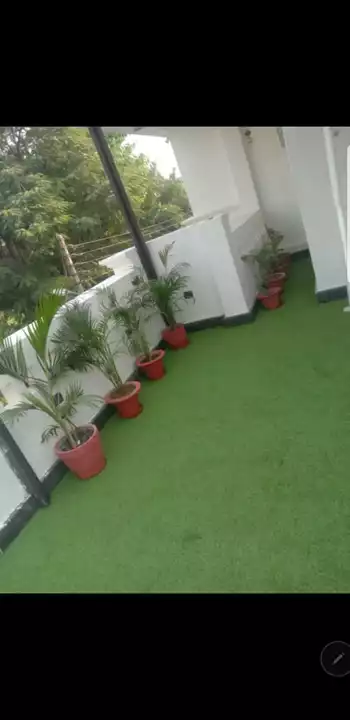 Artificial grass  uploaded by business on 11/5/2022