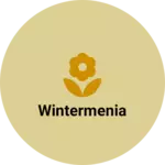 Business logo of Wintermenia