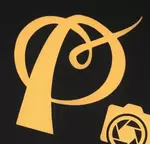 Business logo of प्रियांशी कलेक्शन
