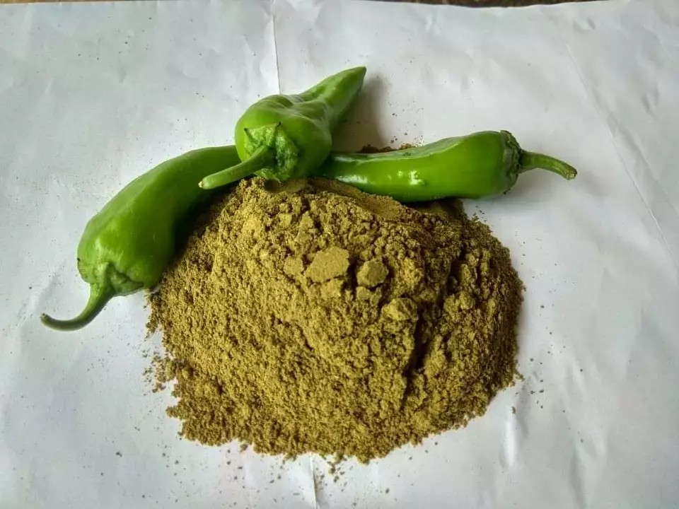 Green chilli powder uploaded by Seasoning food product and all type of jaggery  on 11/10/2022