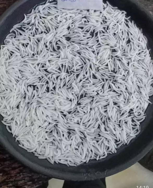 1121 steam uploaded by Basmati Rice on 11/12/2022