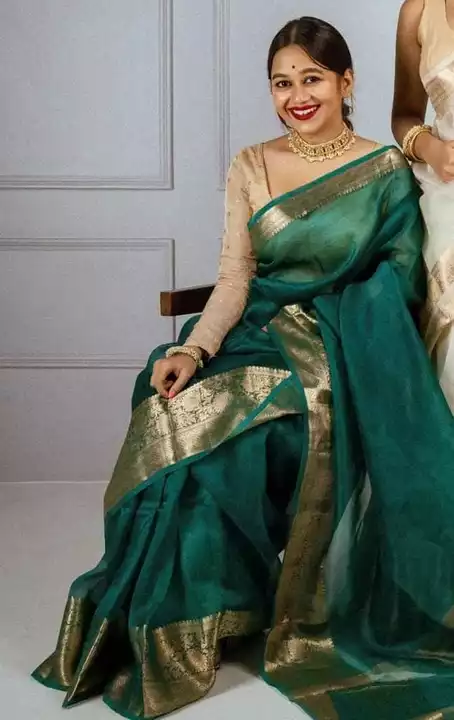 Priyadarshini saree with blouse piece  uploaded by Anuradha Bastralaya on 11/13/2022
