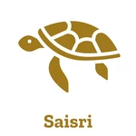 Business logo of Srisai2629@gmail.com