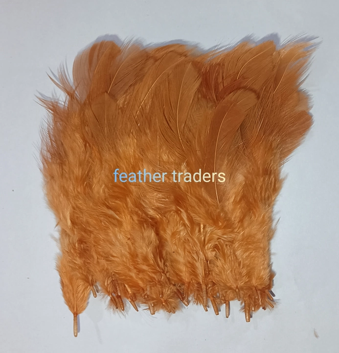 Brown Feather(100 pieces) (4 inches) uploaded by business on 11/14/2022