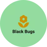 Business logo of Black bugs