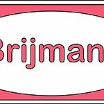 Business logo of Brijmani
